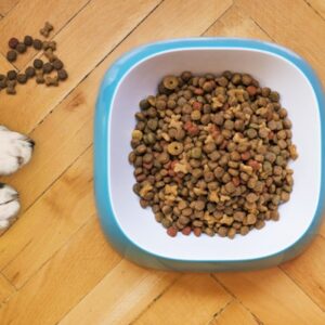 Hạt Royal Canin Medium Puppy cho Chó