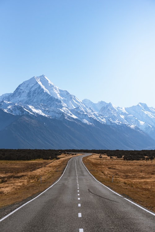 Chó Golden Retriever thuần chủng siêu thân thiện