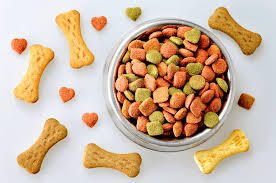 Cỏ lúa mì tươi tự trồng giúp mèo tiêu búi lông