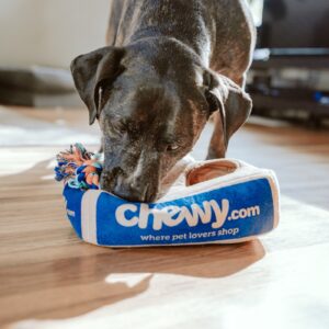 Thức ăn hạt hữu cơ Royal Canin Club Pro